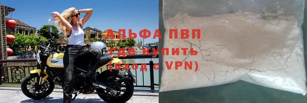 стаф Ельня