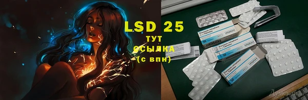 стаф Ельня