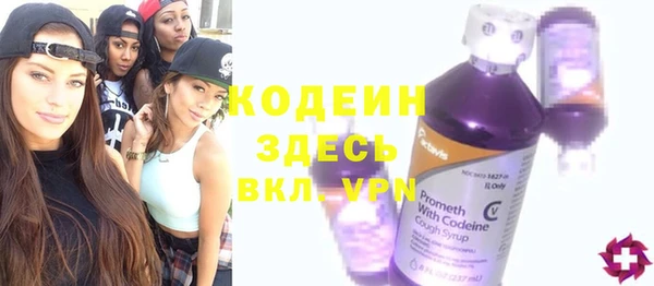 стаф Ельня