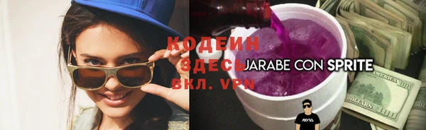 стаф Ельня