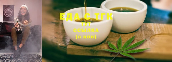 стаф Ельня