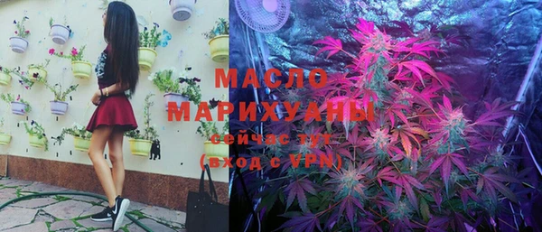 стаф Ельня