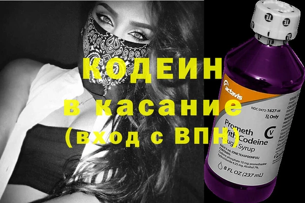 стаф Ельня