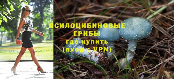 а пвп мука Елизово