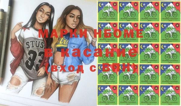 стаф Ельня