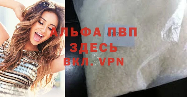 стаф Ельня