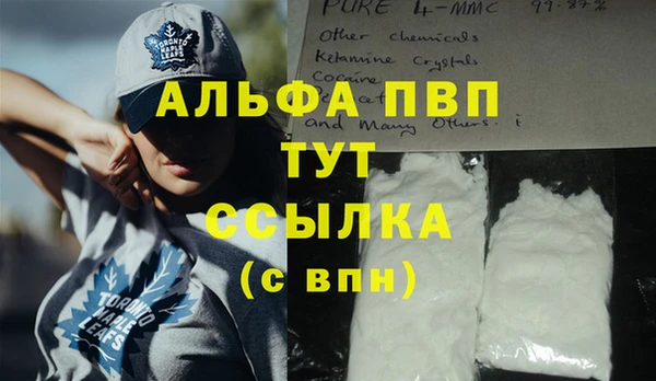 стаф Ельня
