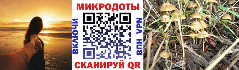 Псилоцибиновые грибы MAGIC MUSHROOMS Катав-Ивановск
