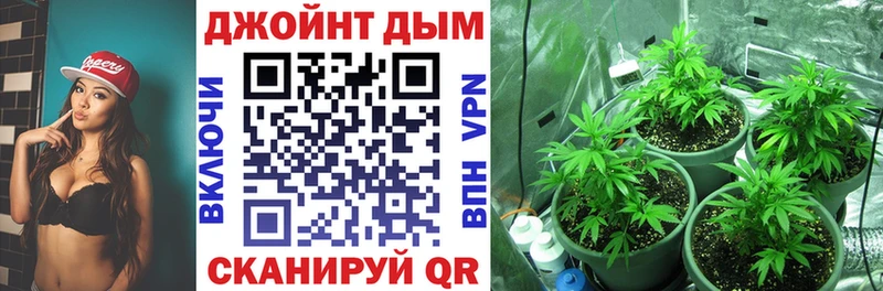 Канабис Amnesia  Купить закладки  Катав-Ивановск 